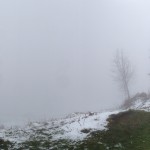 Hiking in the fog