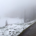 Hiking in the fog